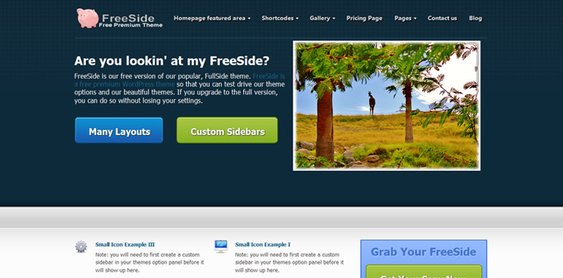 wp_freeside_ie